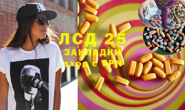 PSILOCYBIN Навашино