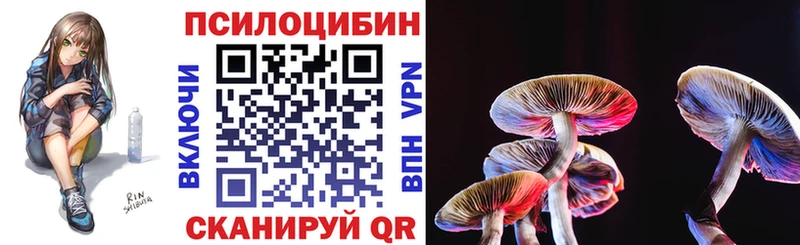 Псилоцибиновые грибы мицелий Новокубанск