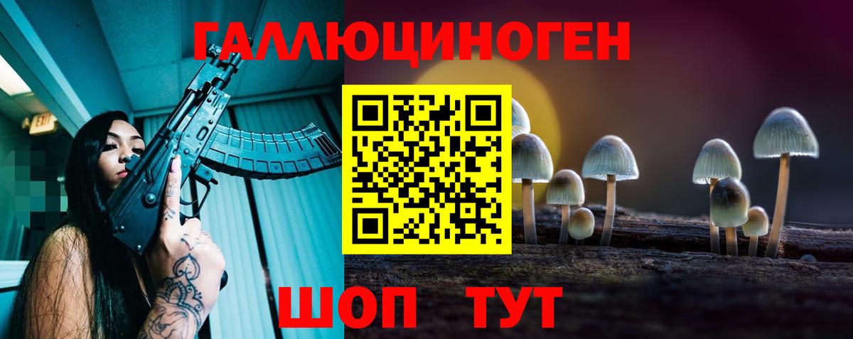 Псилоцибиновые грибы Psilocybine cubensis  Вход с VPN  Новокубанск  Псилоцибиновые грибы GOLDEN TEACHER 