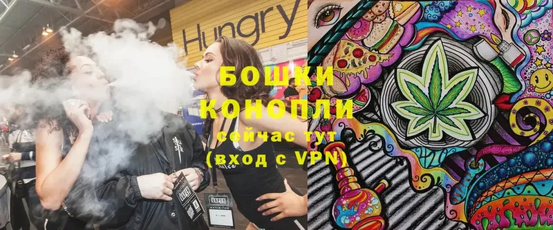 хочу наркоту  Новокубанск  Канабис SATIVA & INDICA 